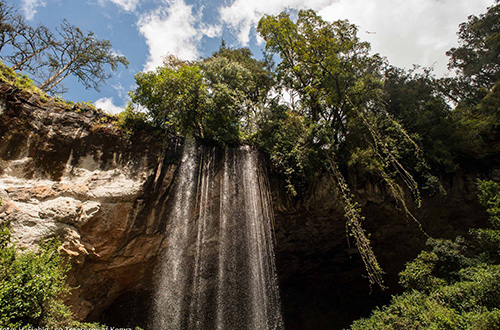 mt-elgon