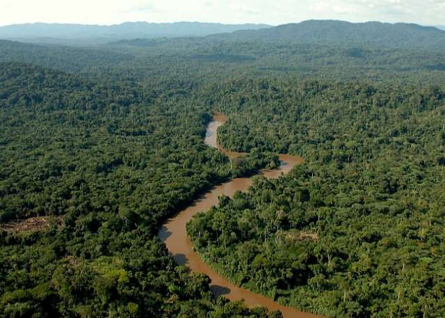 Here lies that stream that conquered Lusumbwe Forest's wrath.